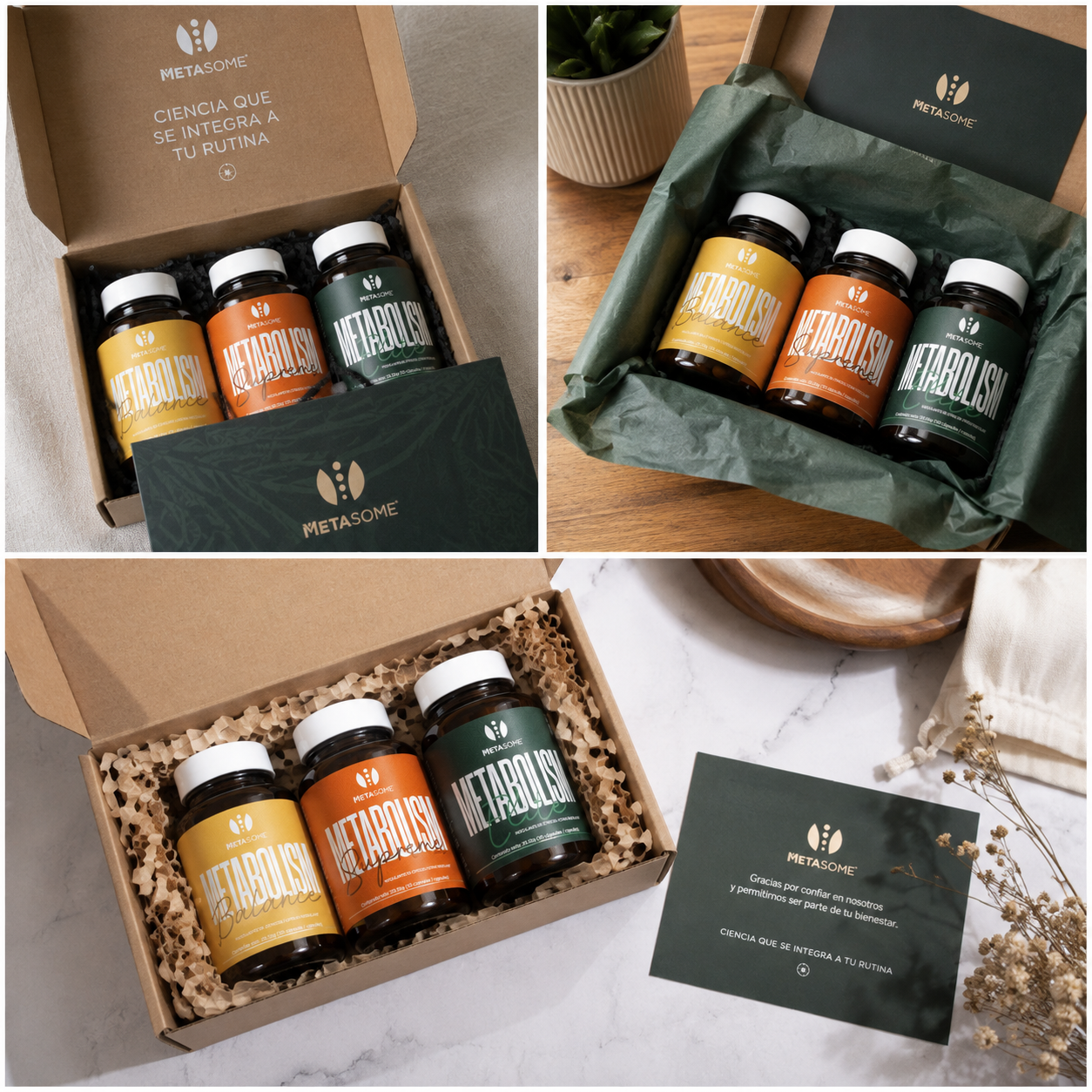 Unboxing METASOME 1
